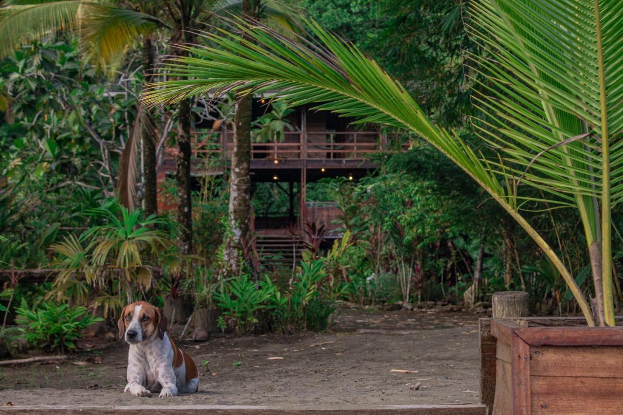 The Pelican House Hostel El Valle  Luaran gambar