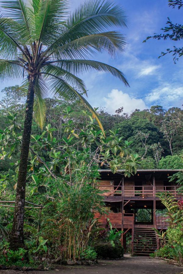 The Pelican House Hostel El Valle  Luaran gambar